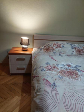 Myslym Shyri lovely top apartment